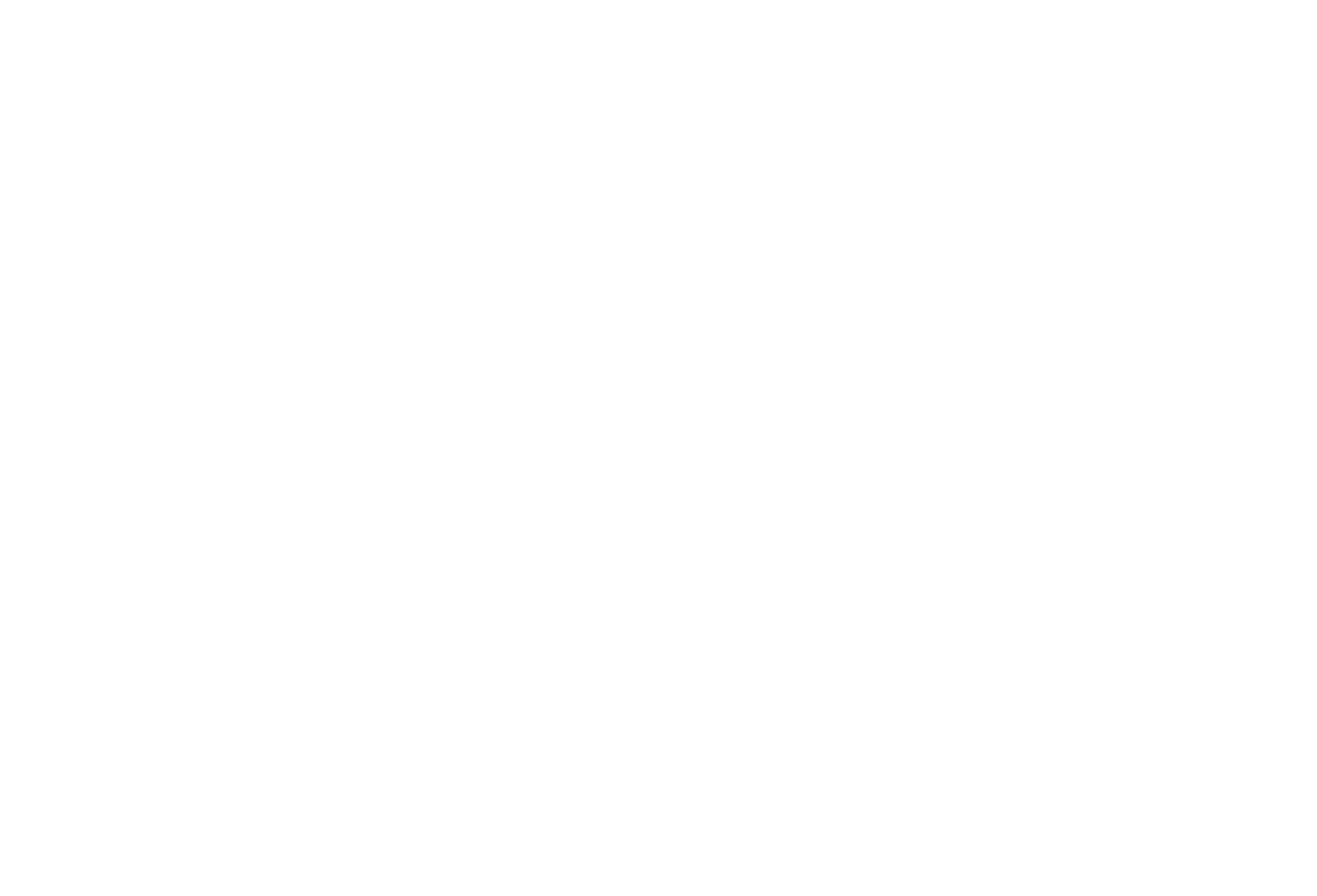 Curing Retinal Blindness Foundation - White Logo